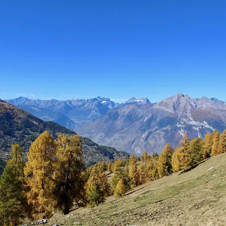 Appealing With Balcony Apartamento *